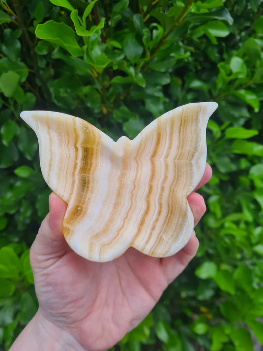 Orange Calcite Butterfly Dish