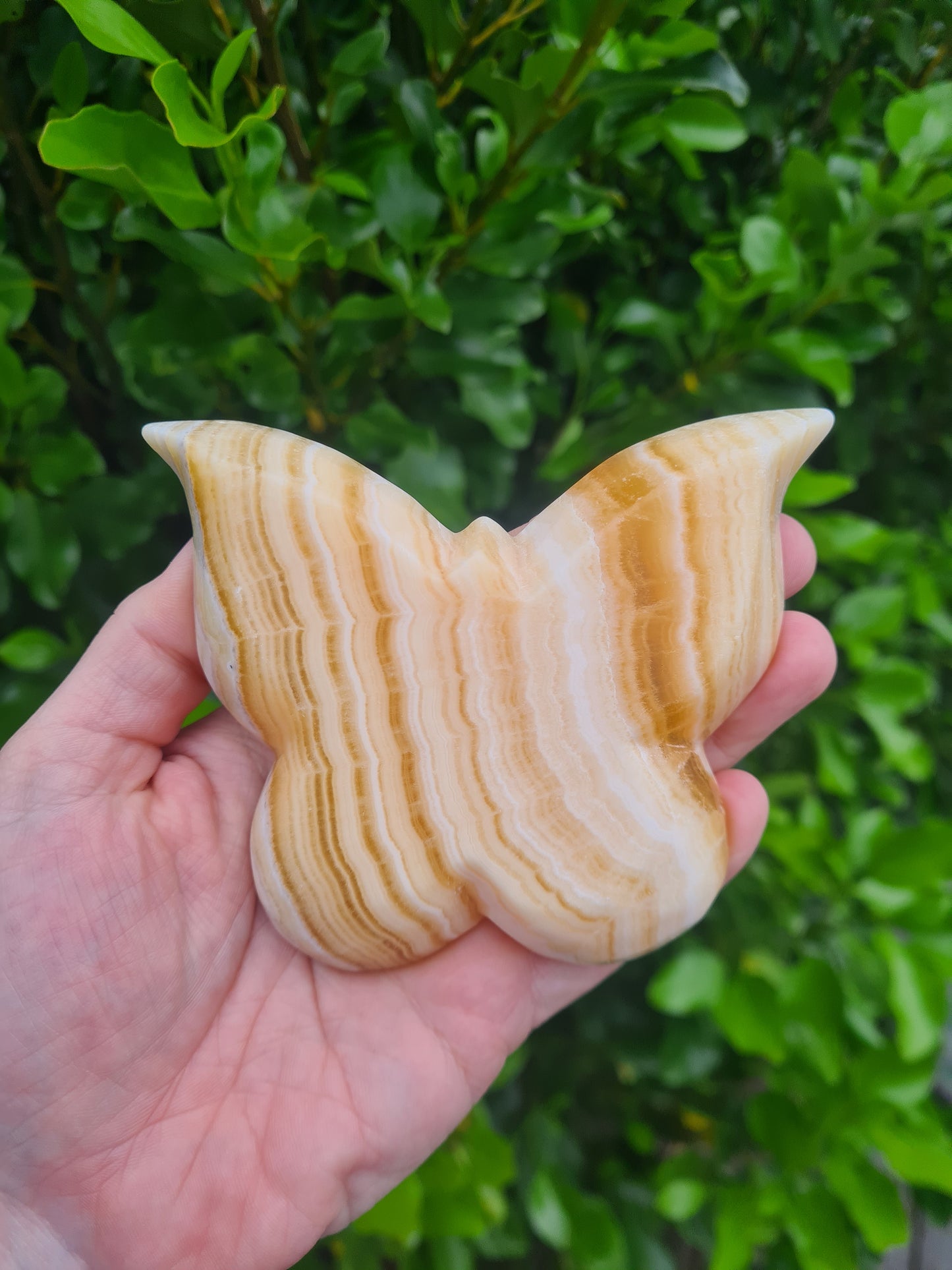 Orange Calcite Butterfly Dish