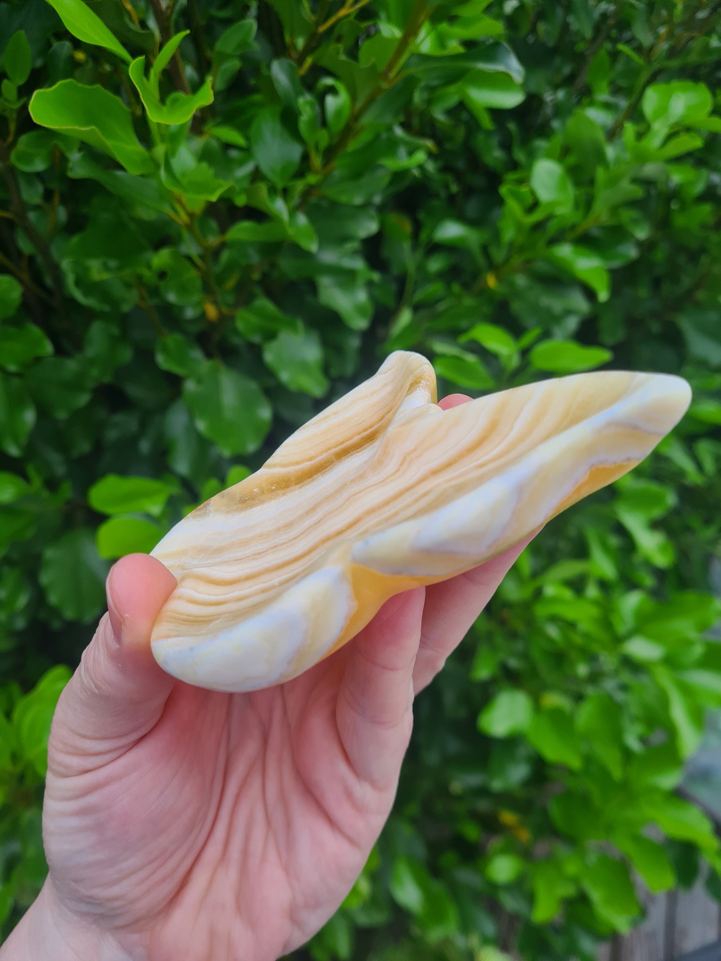 Orange Calcite Butterfly Dish