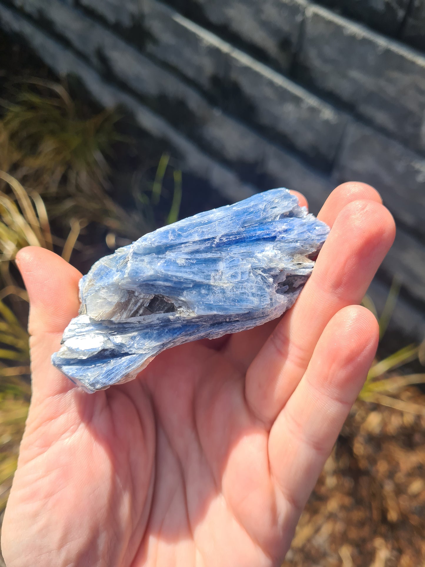 Blue Kyanite Specimans