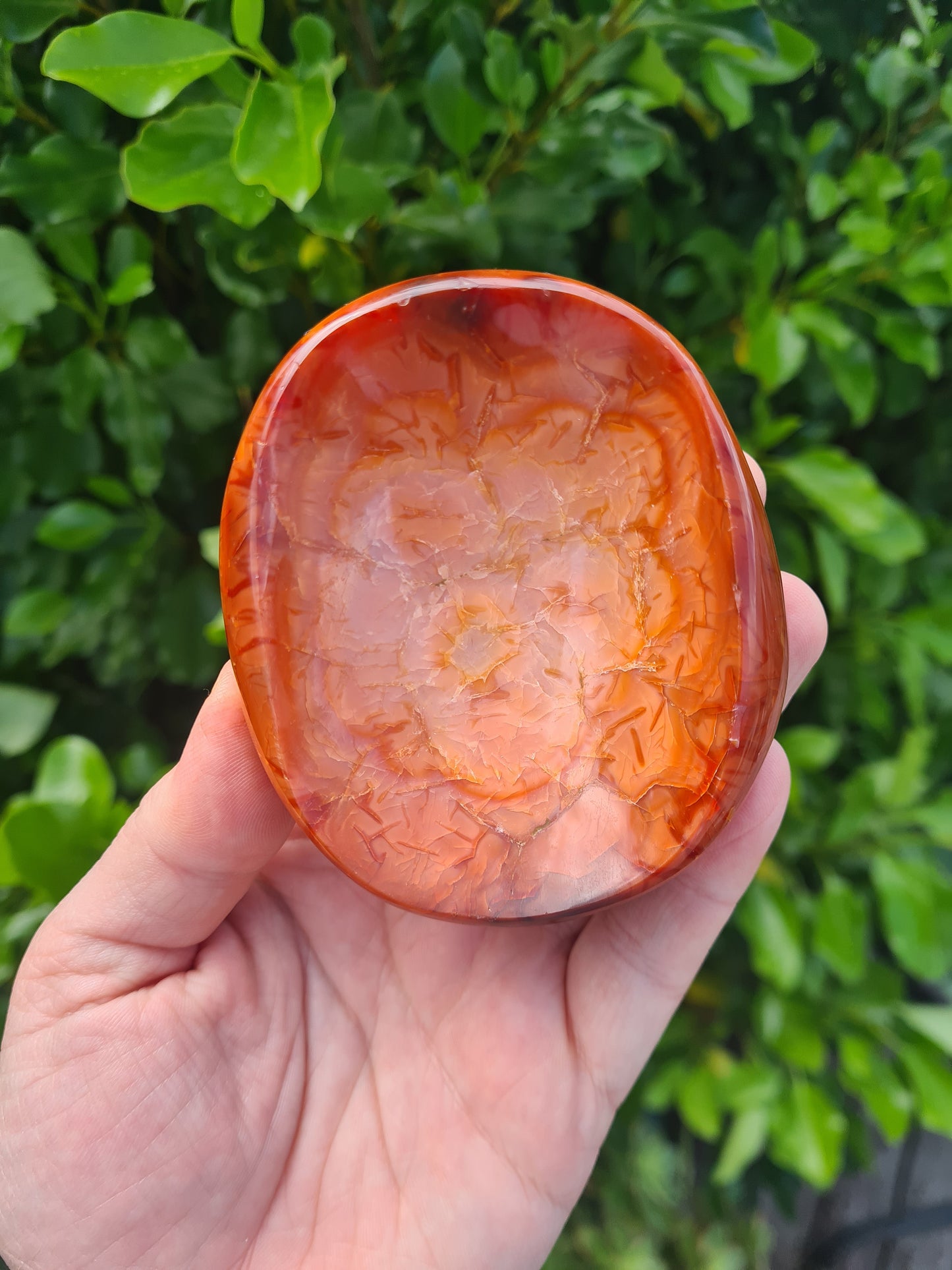 Carnelian Bowl - #2