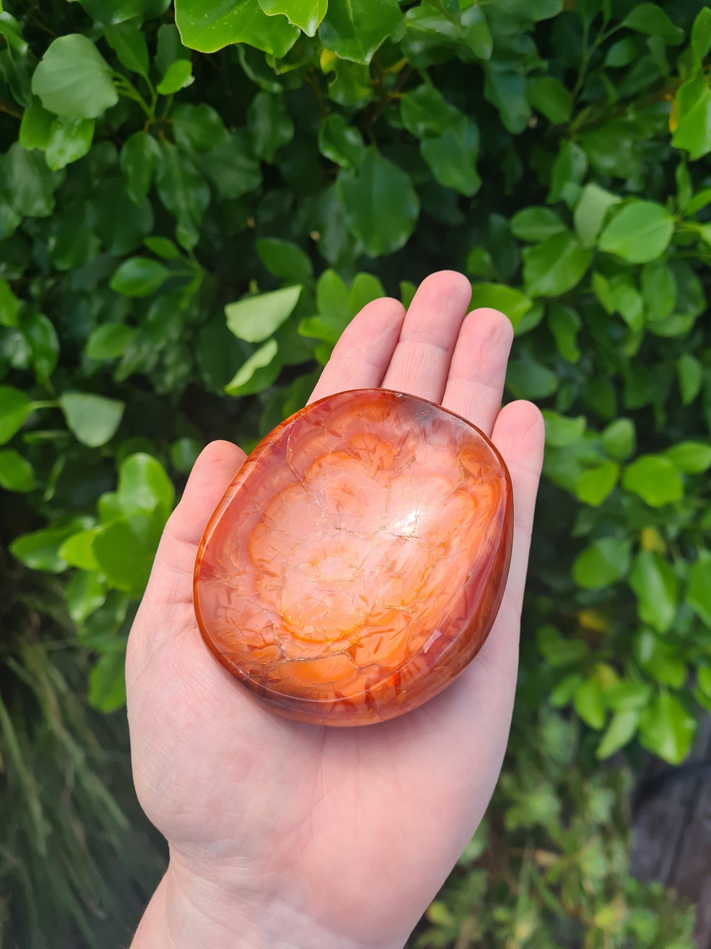 Carnelian Bowl - #2