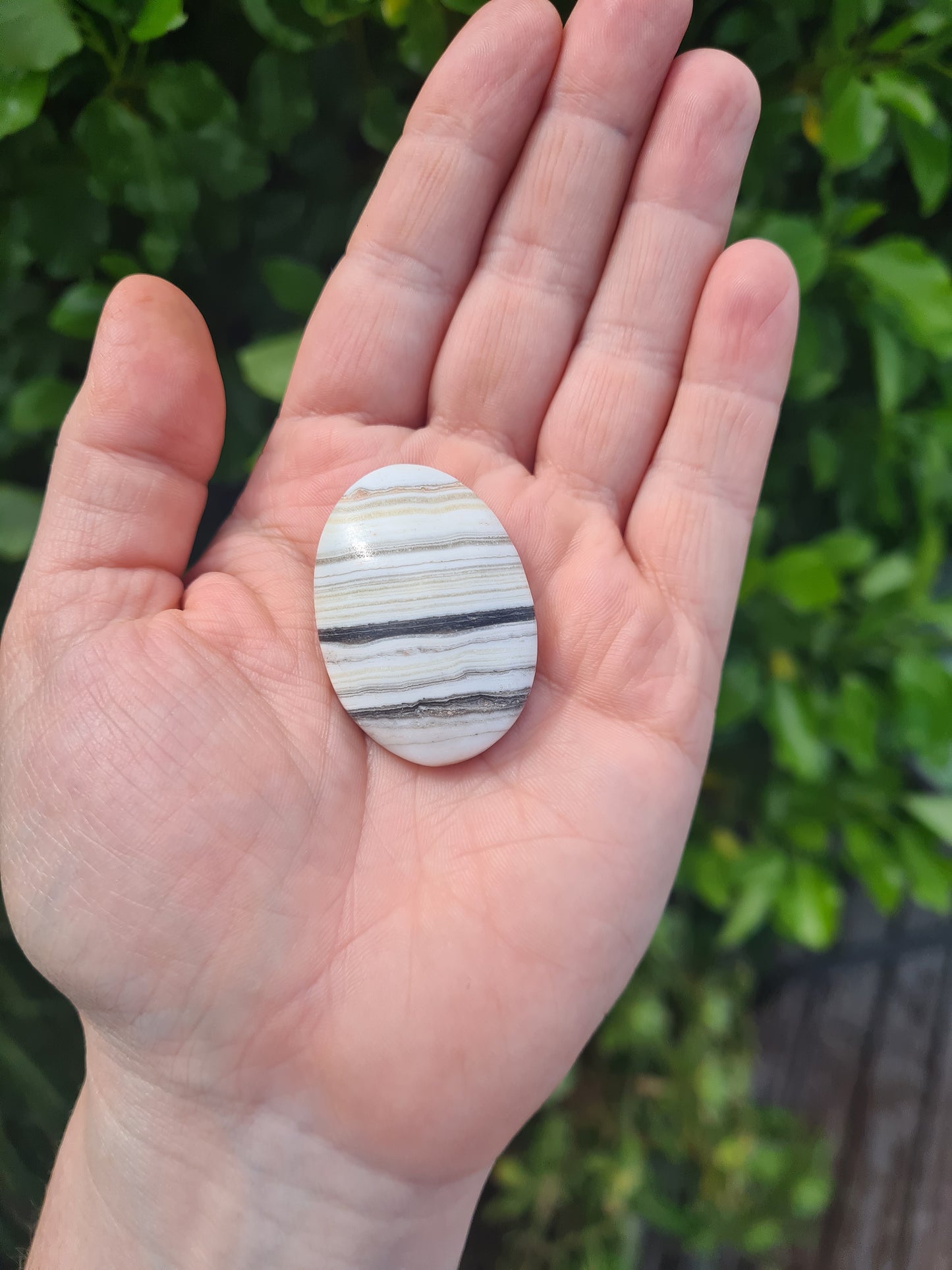 Zebra Calcite Palm Stone