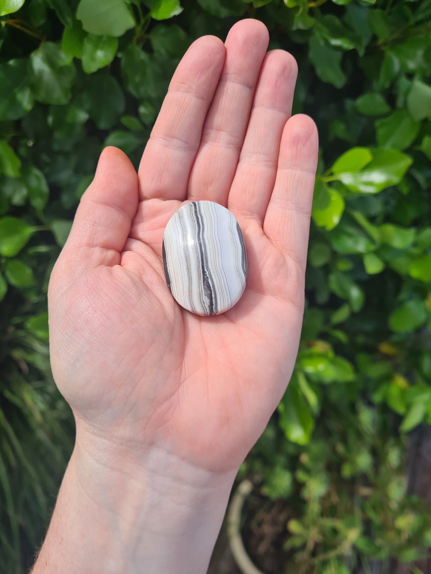 Zebra Calcite Palm Stone