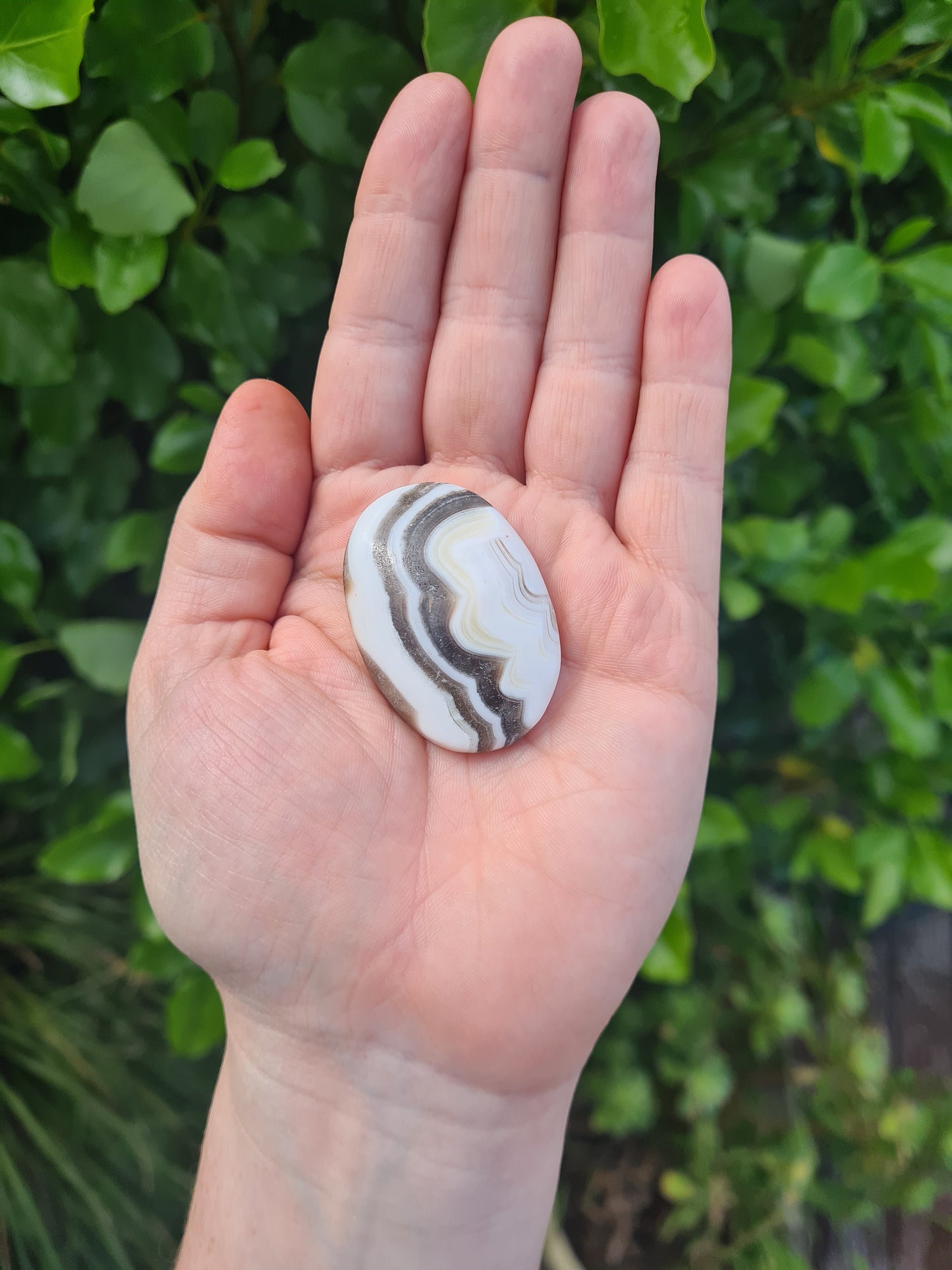 Zebra Calcite Palm Stone