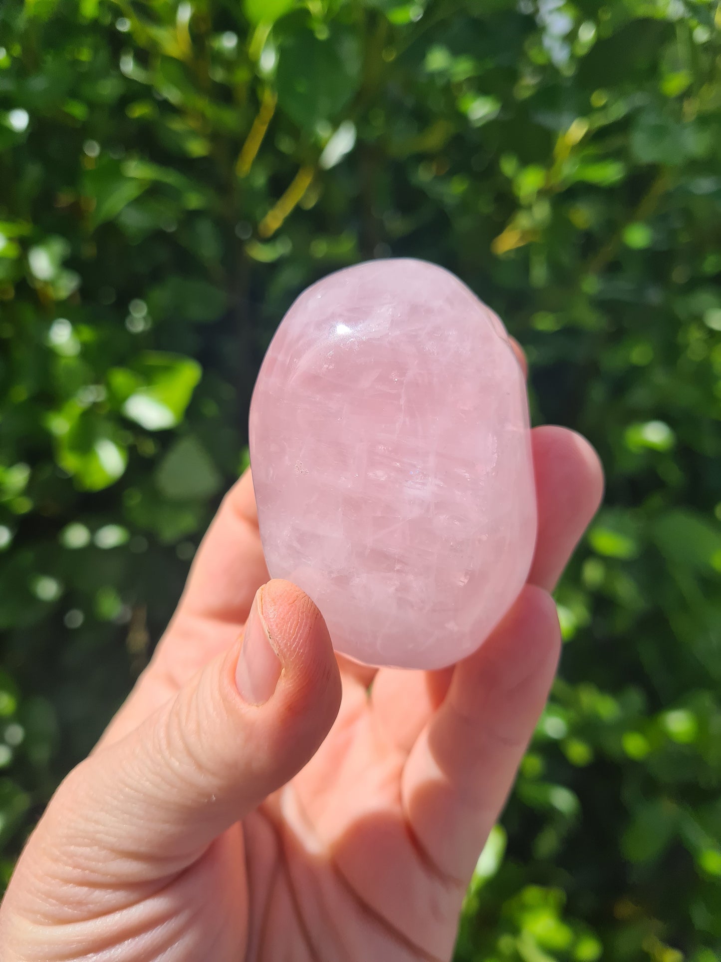 Rose Quartz Palm Stone