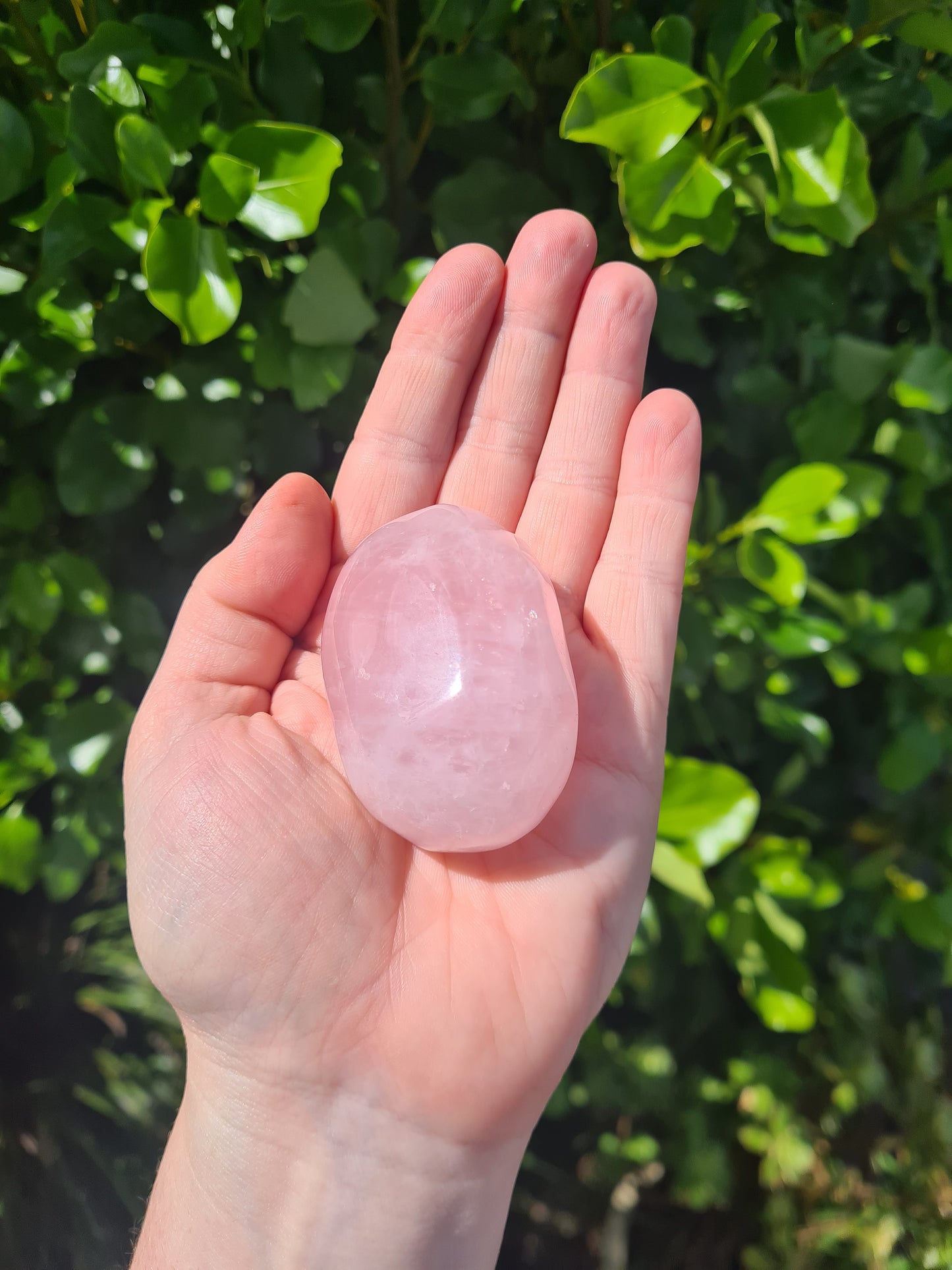 Rose Quartz Palm Stone