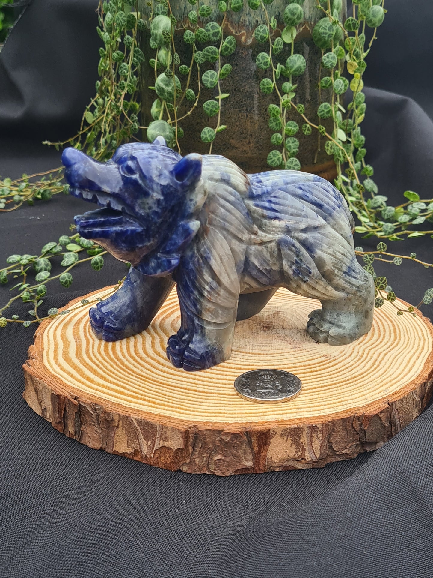 Sodalite Bear