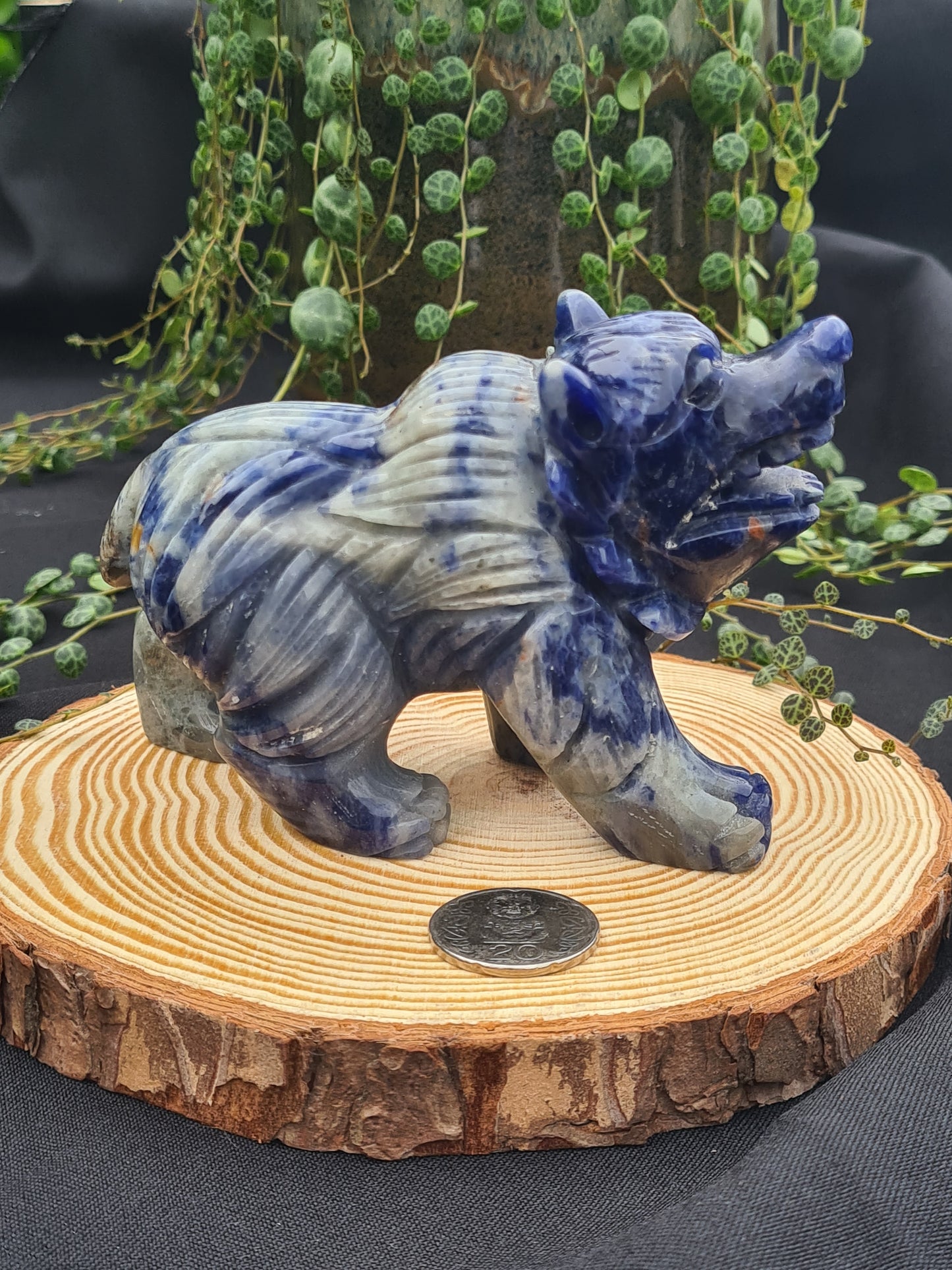 Sodalite Bear