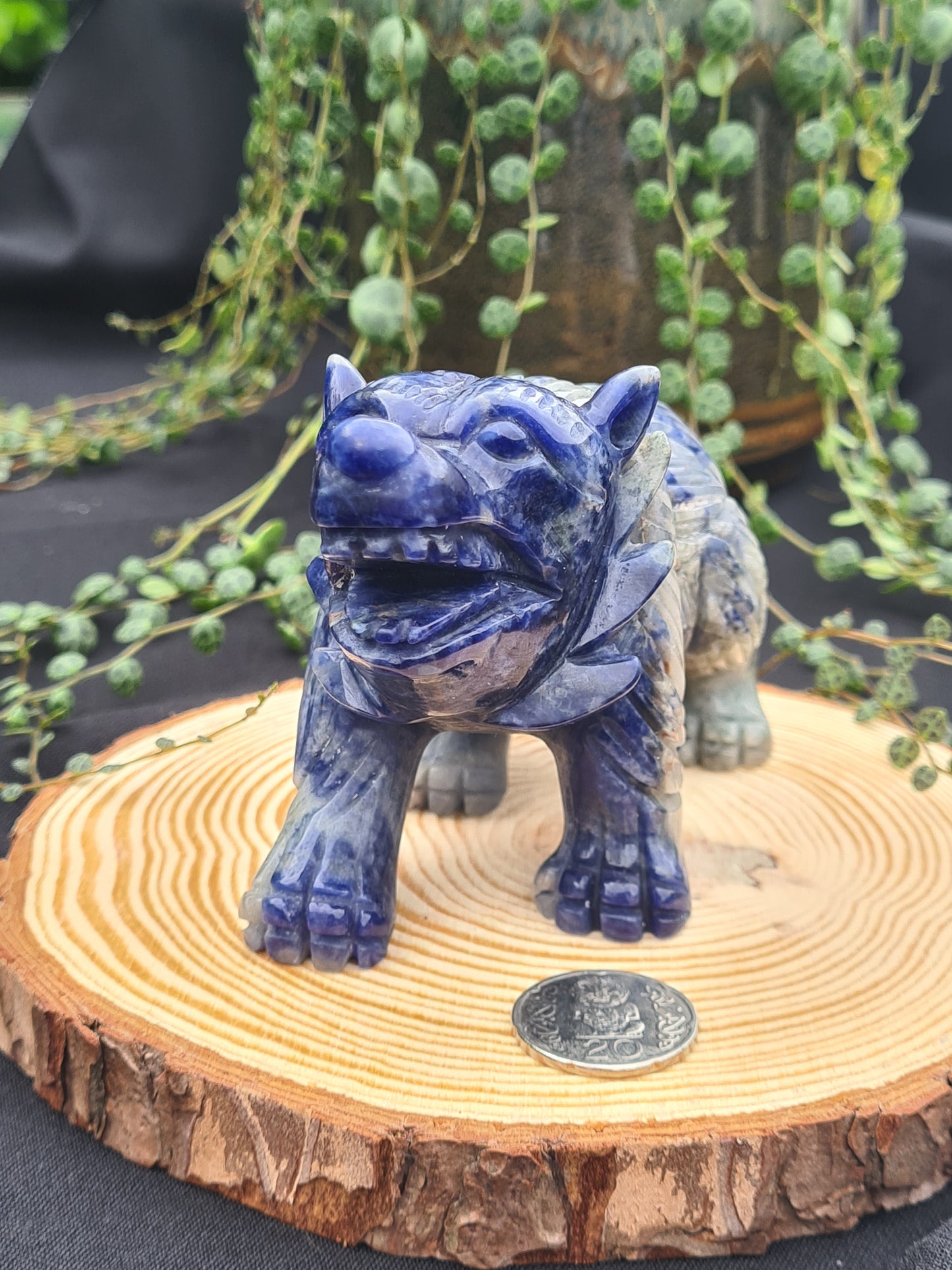 Sodalite Bear