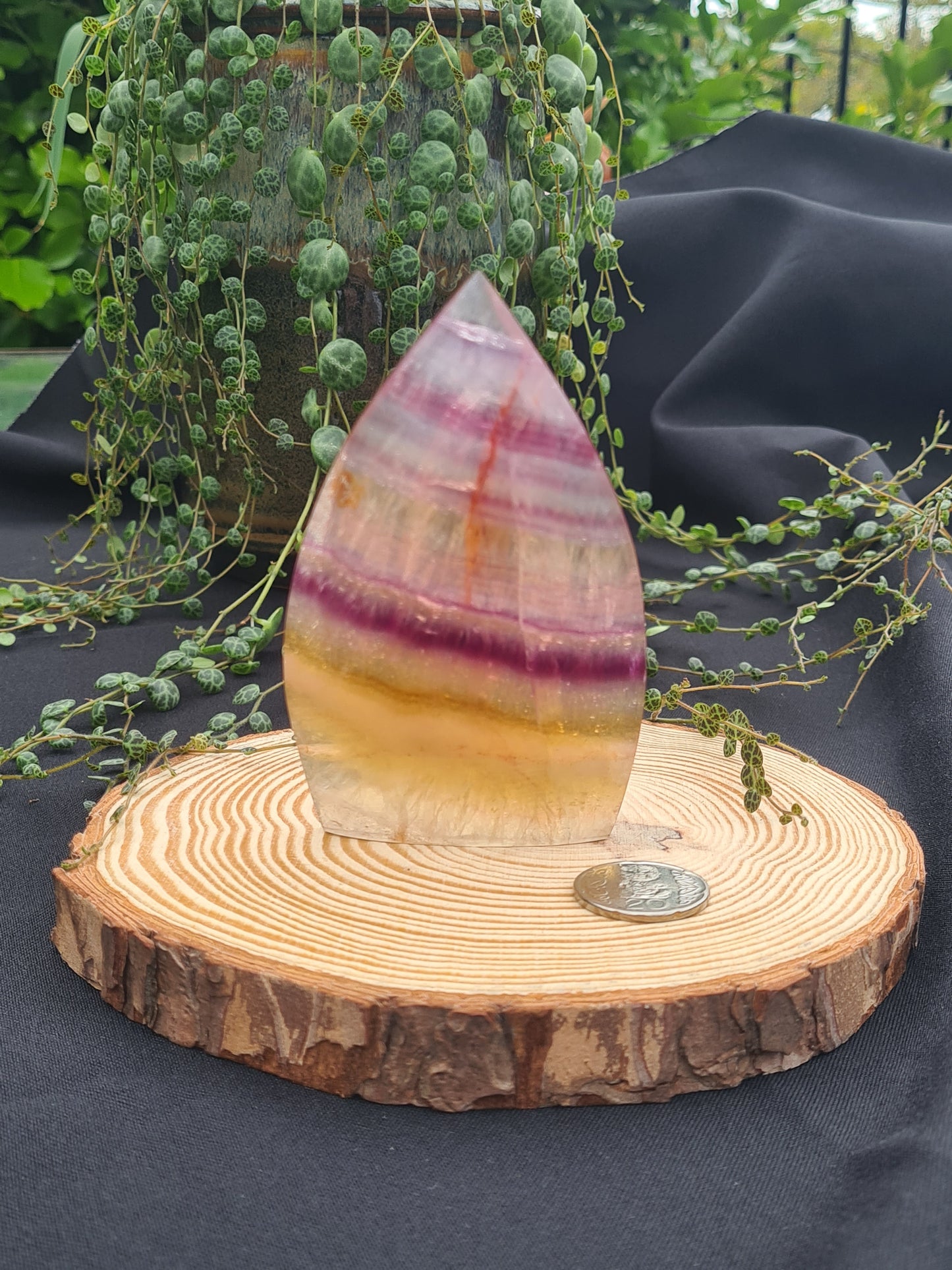 Candy Fluorite Teardrop/Flame