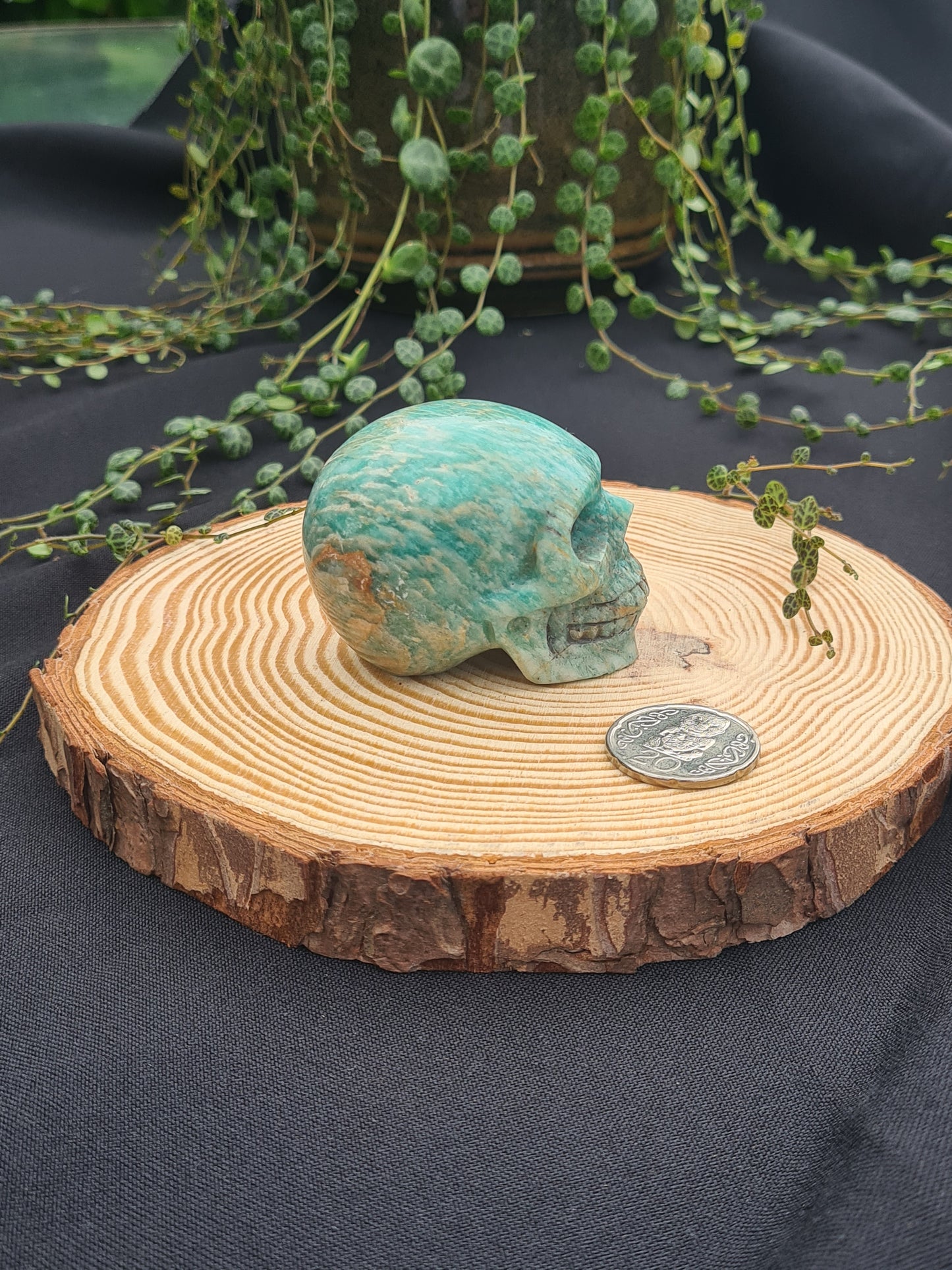 Amazonite Skull