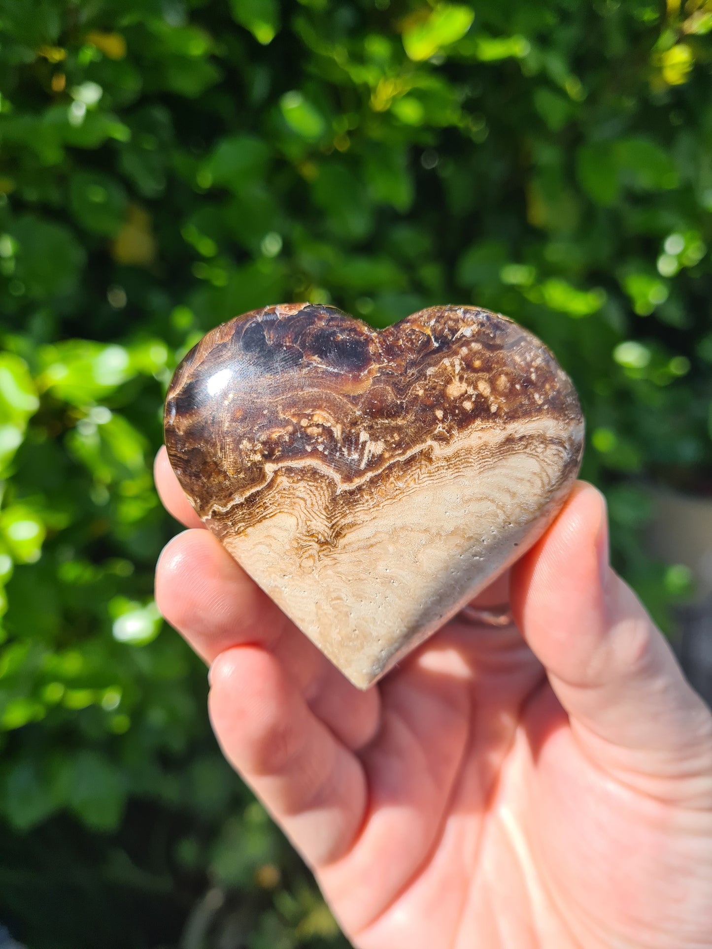 Chocolate Calcite Heart #5