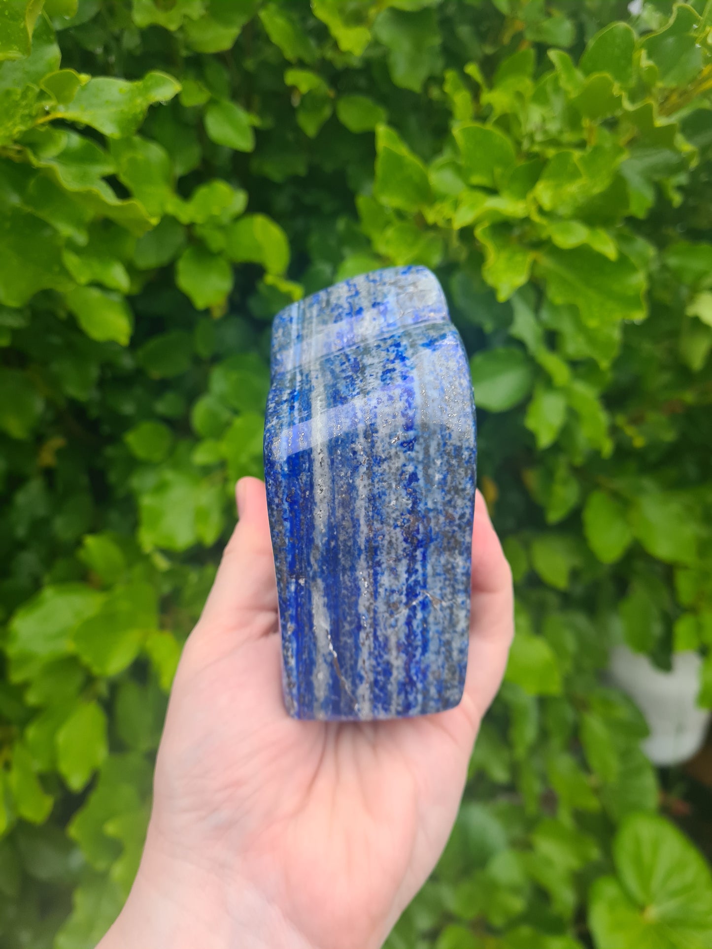 Lapis Lazuli Freeform - 1.2kg